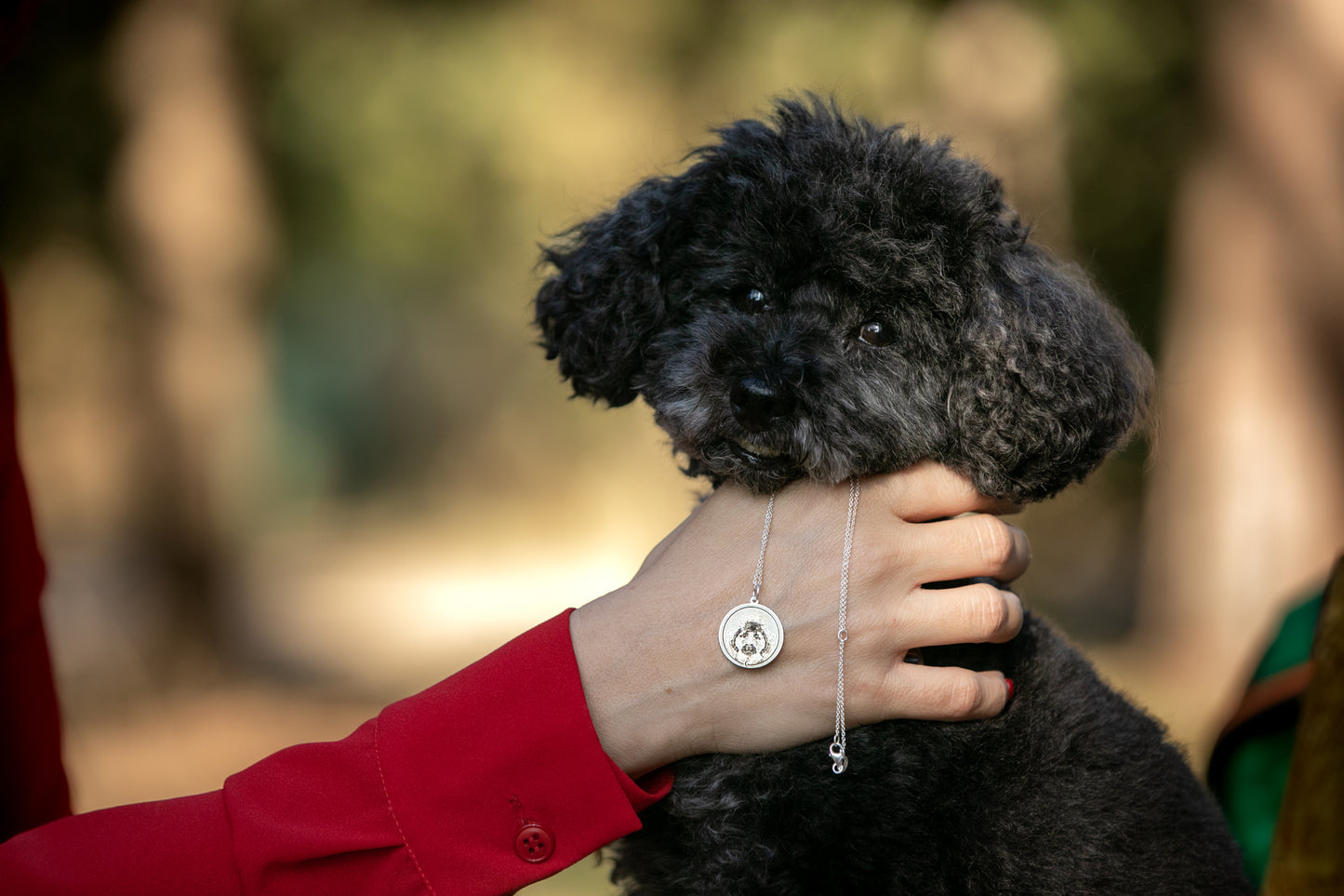 Gioielli di Famiglia - il ciondolo con il tuo cane