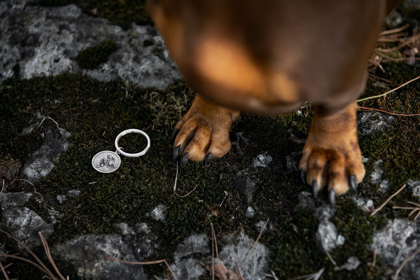 Portachiavi con il tuo cane